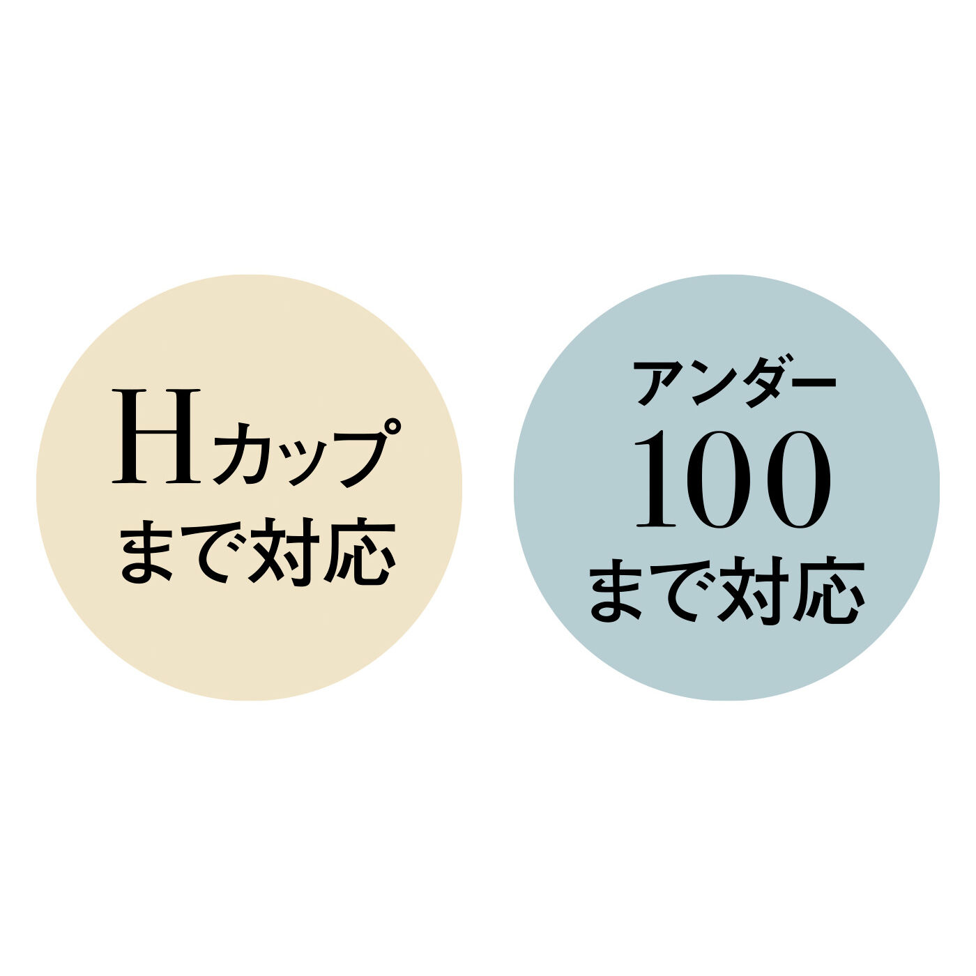 WEB限定お買い得商品|大きい胸さんの薄くて軽くて羽衣心地 繊細に整えるブラ〈12〉