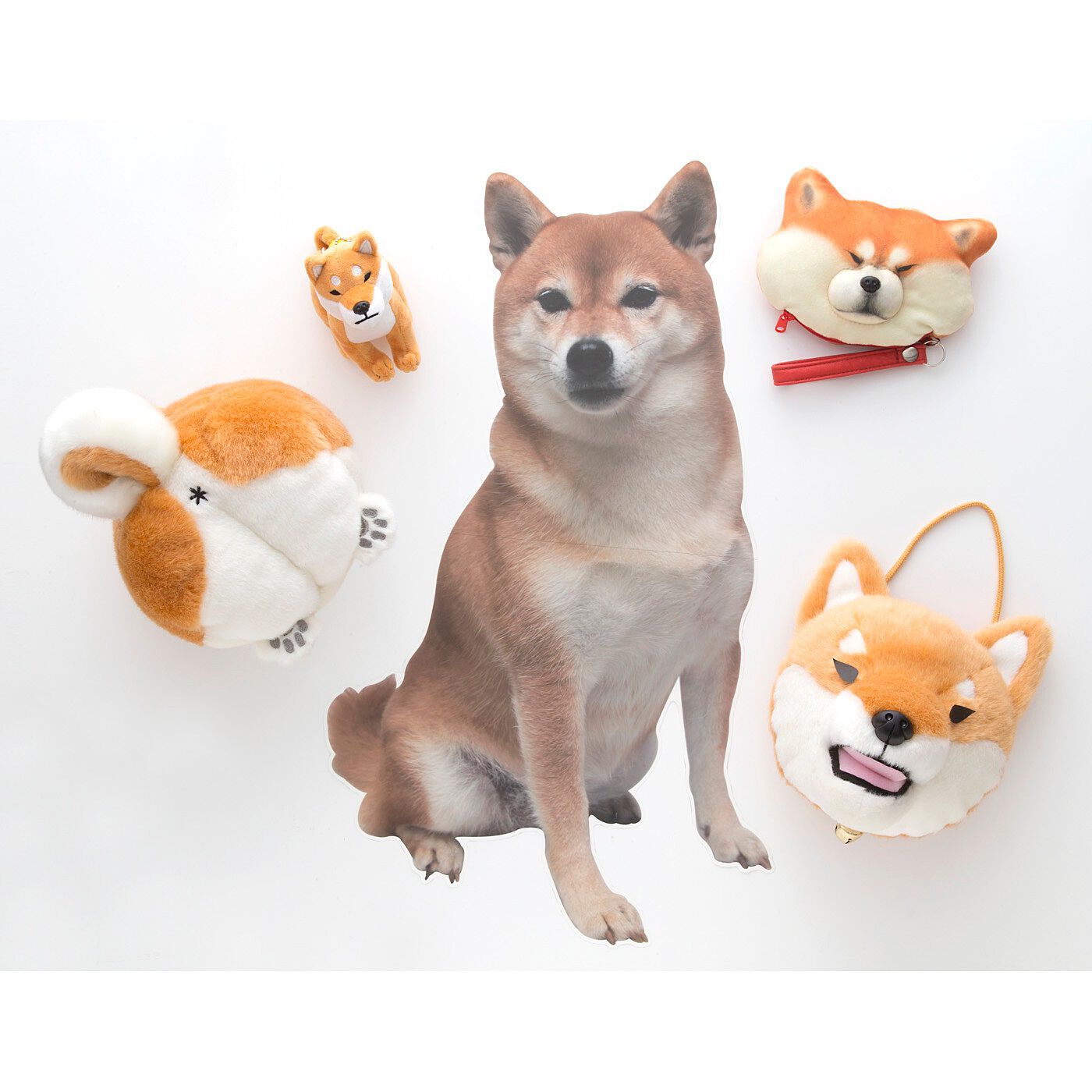 WEB限定お買い得商品|ご主人さまをそばで守るのだ　忠犬SHIBAシリーズ