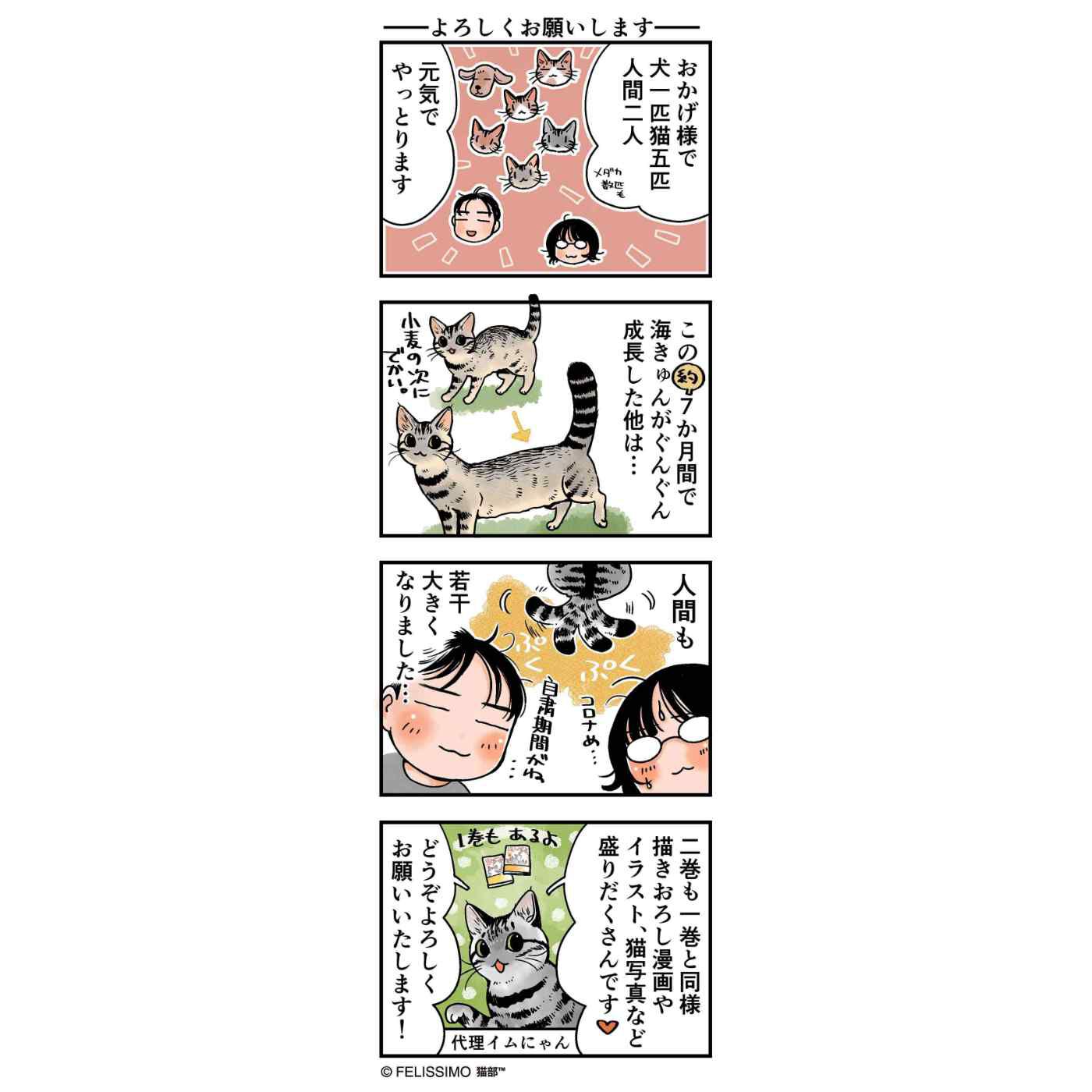 Real Stock|コミック『猫まみれライフ』第2巻