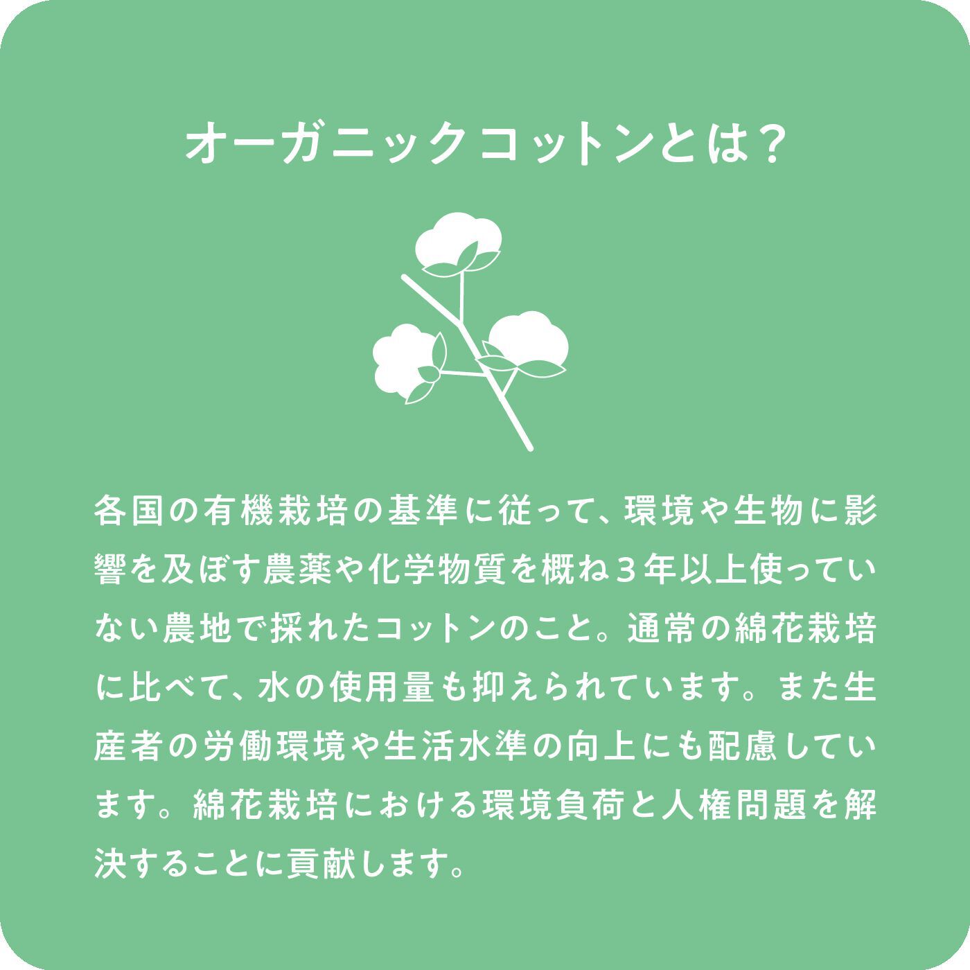 Real Stock|Live love cotton（R）プロジェクト　el:ment　オーガニックコットン100％　日本の伝統色を愉（たの）しむ　きれい見えトップス〈水浅黄（みずあさぎ）〉