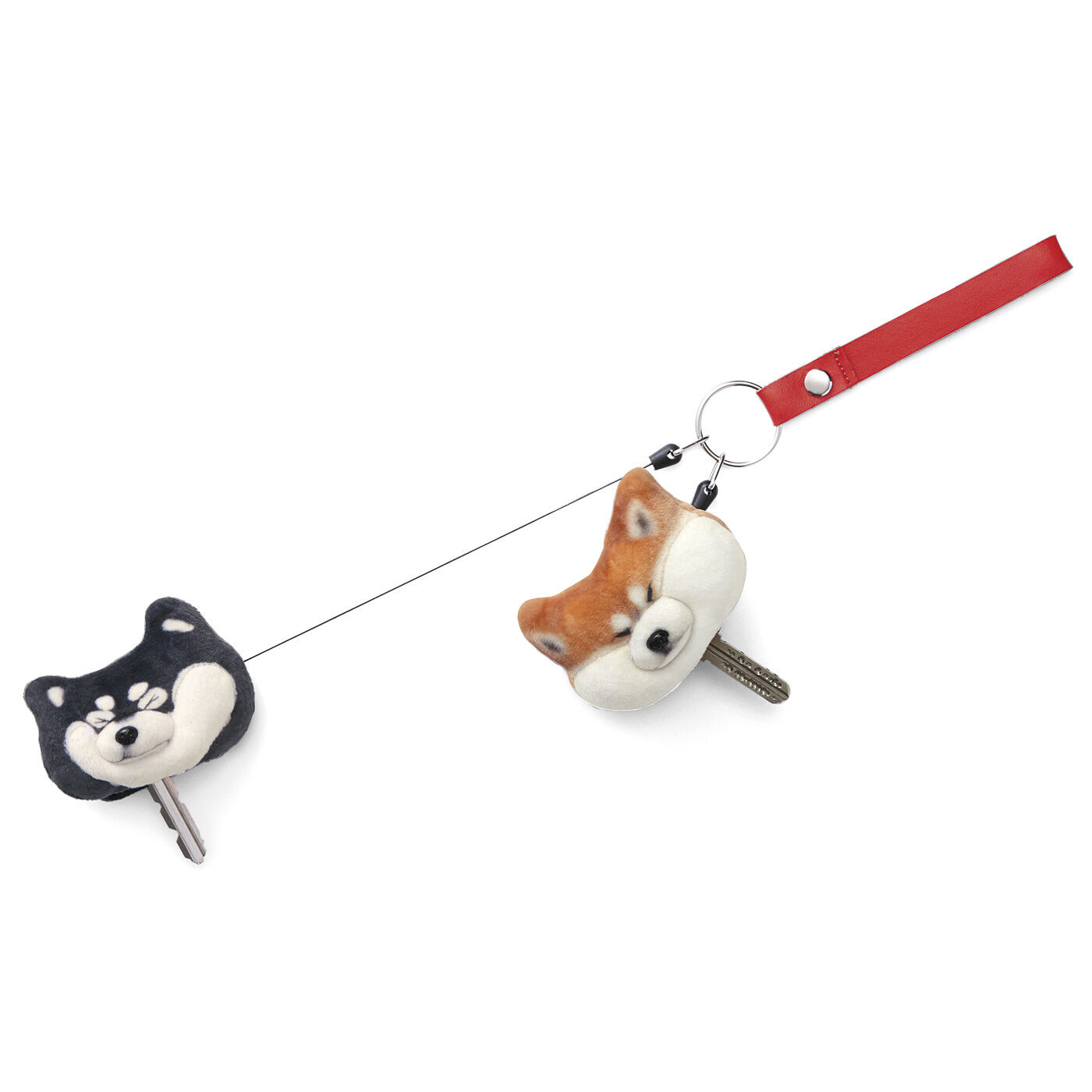 realstock [リアルストック]（Express BOX）|黒いの出ました！ 忠犬 SHIBA BLACK|びよーんと約57cm