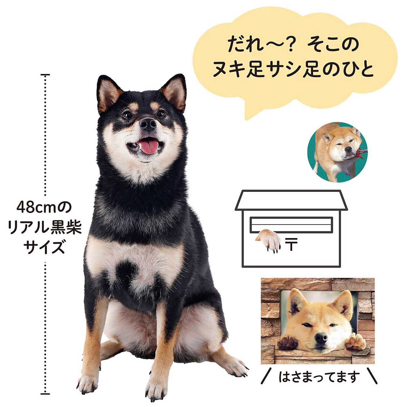 realstock [リアルストック]（Express BOX）|黒いの出ました！ 忠犬 SHIBA BLACK|前回の忠犬SHIBAシリーズオーナーから「実はいちばん防犯に役立ってる」とのうわさもチラホラの原寸大シールに、出ました黒柴。狙われやすい窓にペタッ！「わっ、犬がいる！？」とドロボーもやる気喪失。前回モデルの茶柴と並べても相性抜群。ミニシールやマスキングテープもモリモリ付いて、あっちもこっちも柴犬だらけ。つけ入るスキもありゃしない！