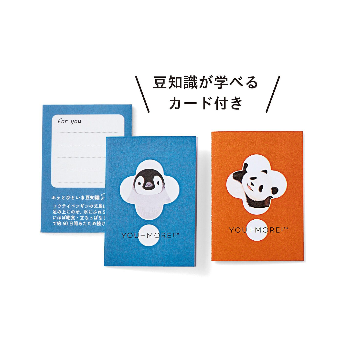 realstock [リアルストック]（Express BOX）|YOU＋MORE！　動物たちからティータイムのおさそい　缶入り紅茶２個セット|裏面にはメッセージを書くスペースも！