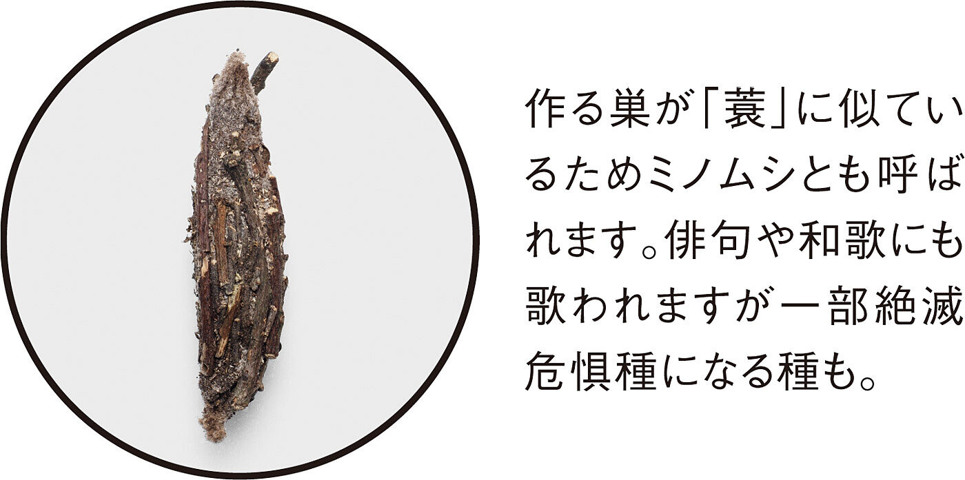 Real Stock|フェリシモミュージアム部　あたたか巣ごもり ミノムシペットボトルカバー