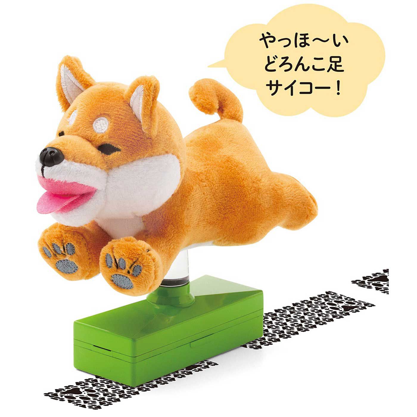 realstock [リアルストック]（Express BOX）|黒いの出ました！ 忠犬 SHIBA BLACK