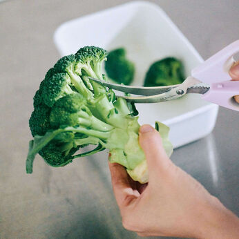 Real Stock | お肉も野菜も逃さずカットカーブキッチンばさみ