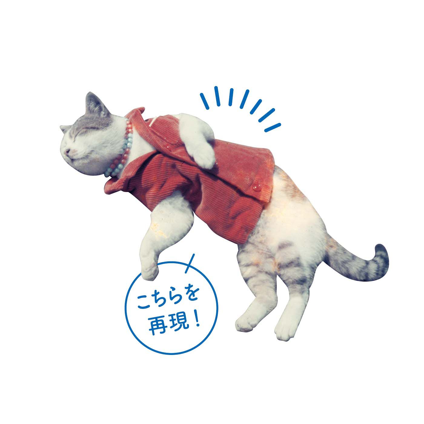 Real Stock|国立極地研究所×猫部　南極へ行った猫たけしとおそろいベスト