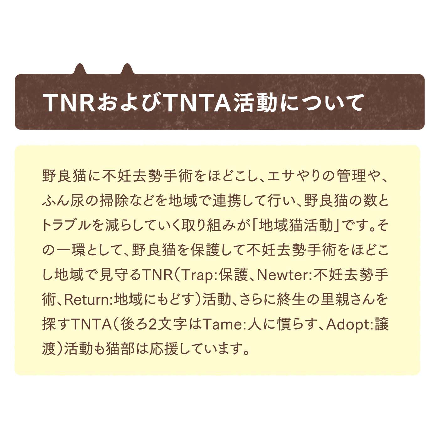 Real Stock|zoopi×猫部　地域猫チャリティーTシャツ2024