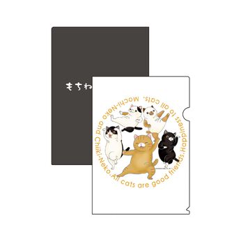 Real Stock | もちねこ地域猫ファイル２０２２