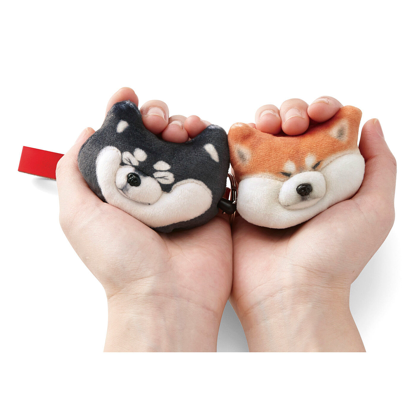 realstock [リアルストック]（Express BOX）|黒いの出ました！ 忠犬 SHIBA BLACK|おまんじゅうみたいなサイズでむにぃ〜