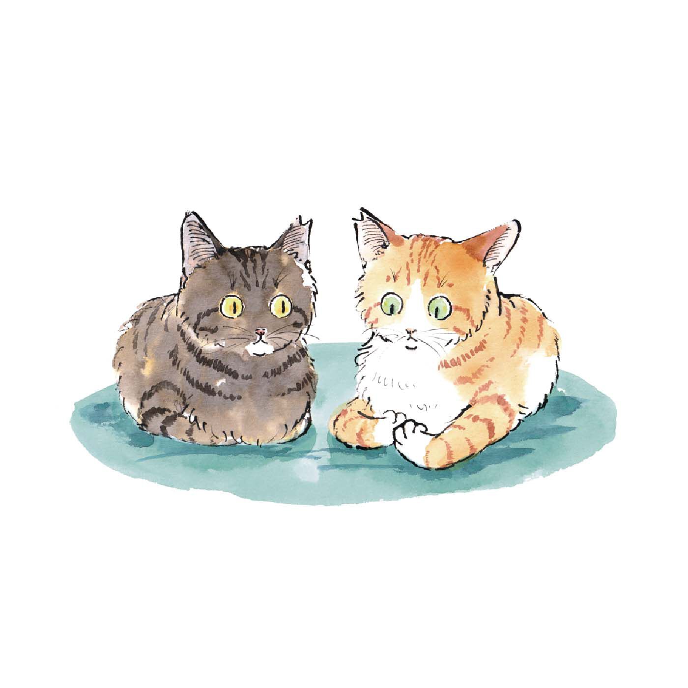 Real Stock|ハラ ミチヨ×猫部　地域猫チャリティーTシャツ2024