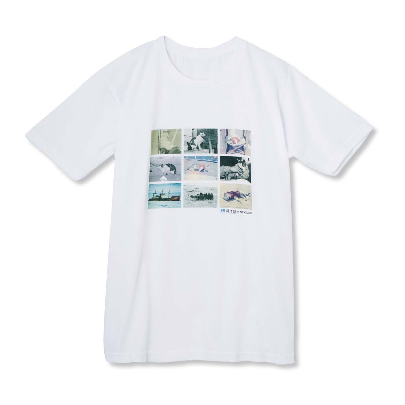 Real Stock|国立極地研究所×猫部　南極へ行った猫たけしの思い出Tシャツ
