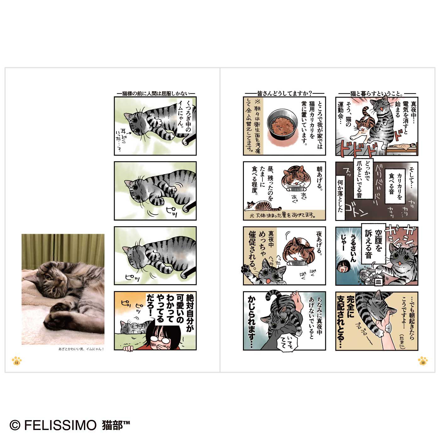 Real Stock|コミック『猫まみれライフ』第2巻