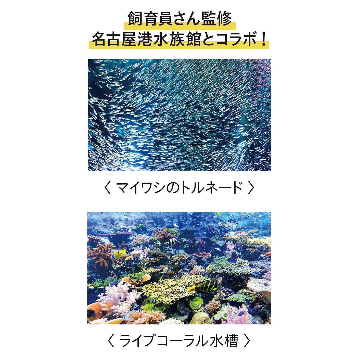 realstock [リアルストック]（Express BOX）|YOU＋MORE!　まるで水族館　イワシトルネードの透明傘|約500種50，000点の生物を展示する日本最大級の名古屋港水族館。「北館」では、イルカやシャチ、ベルーガなど鯨類を紹介し、「南館」では南極への旅をテーマに、日本から南極までの5つの地域に住む生き物を紹介しています。イルカパフォーマンスやマイワシのトルネードなどイベントも盛りだくさんです。