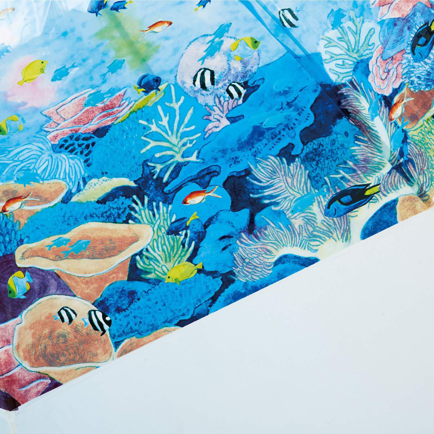 realstock [リアルストック]（Express BOX）|YOU＋MORE!　まるで水族館　ライブコーラル水槽の透明傘|実際の水槽にいる魚やサンゴが描かれています。