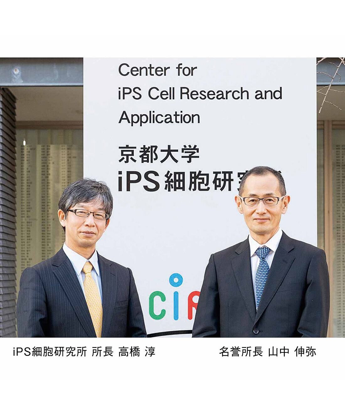 フェリシモメリー|iPS細胞研究支援