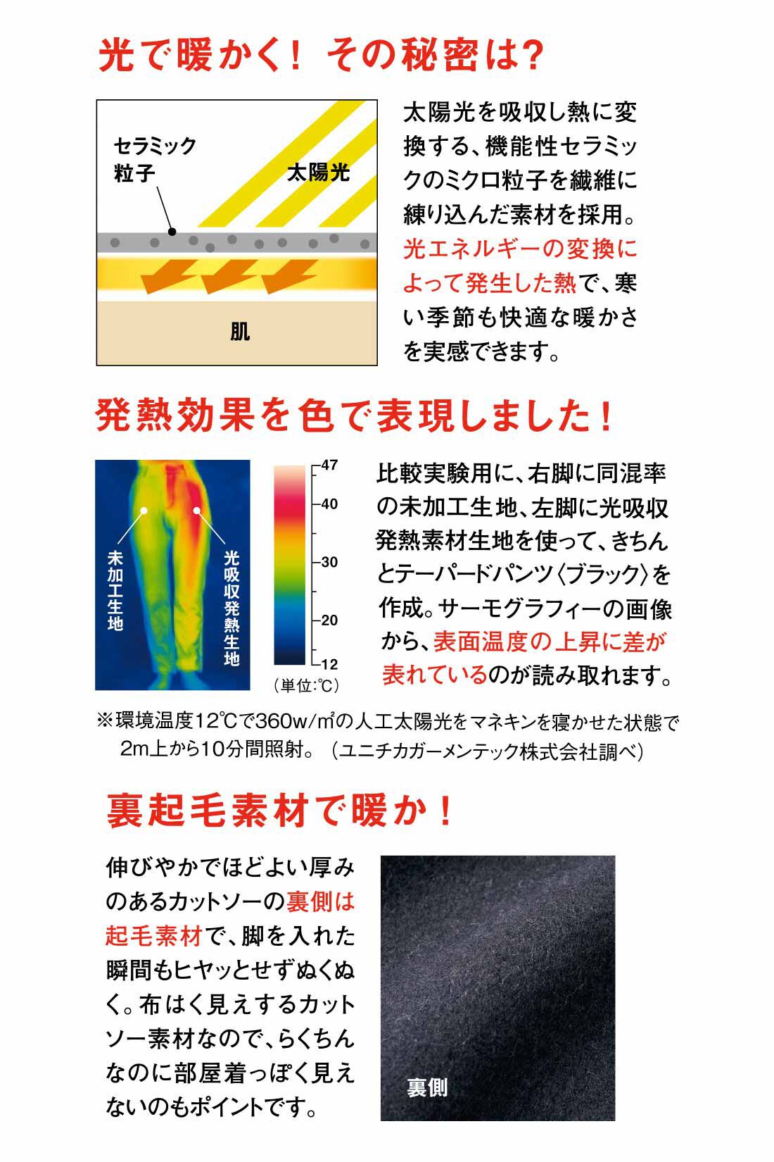 IEDIT|IEDIT[イディット]　光吸収発熱素材＆裏起毛でいつでも暖かな 美脚ストレッチワイドパンツ