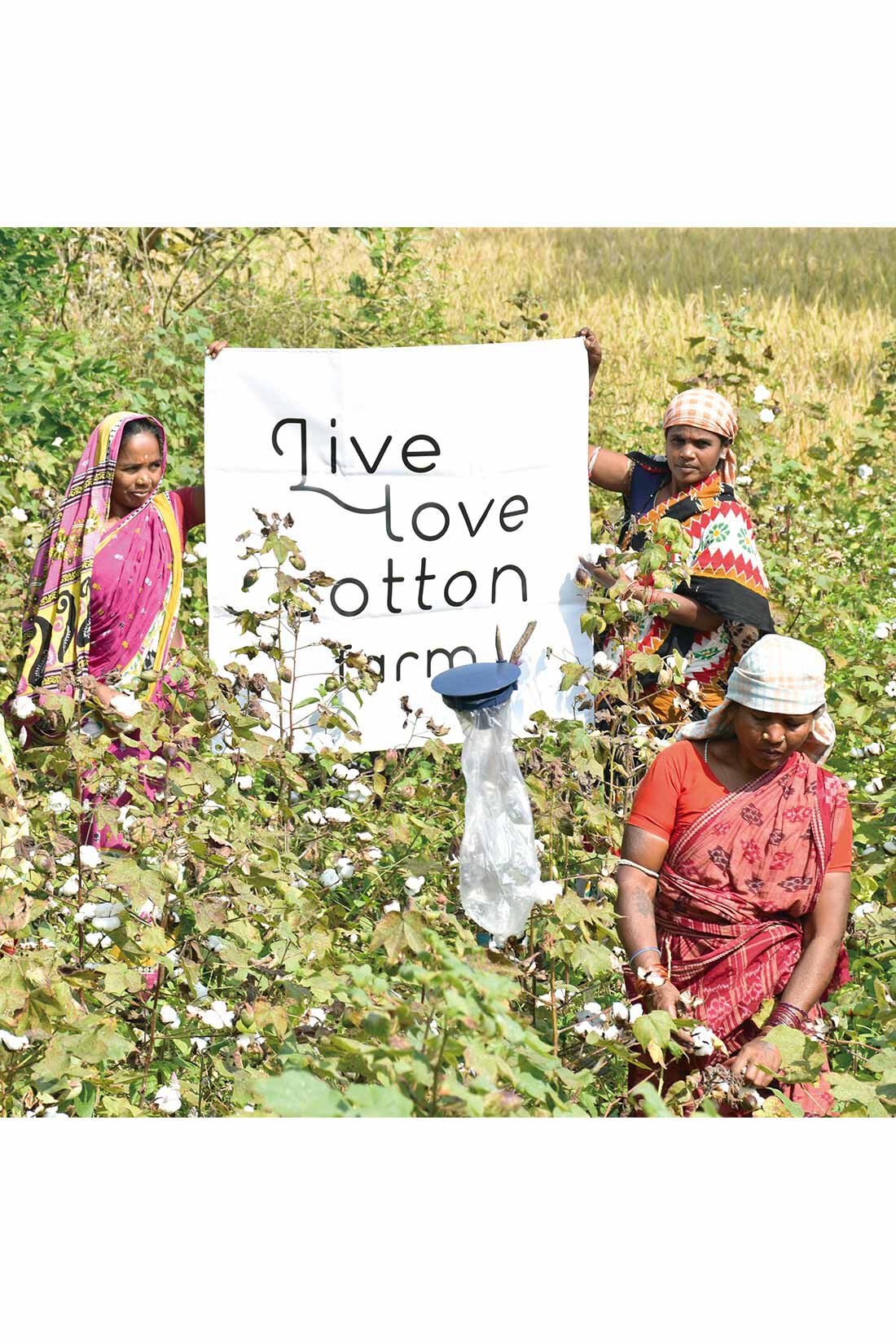 IEDIT|Live love cotton（R）プロジェクト IEDIT[イディット]　デザインネックでデコルテ華やぐ フレアースリーブカットソー