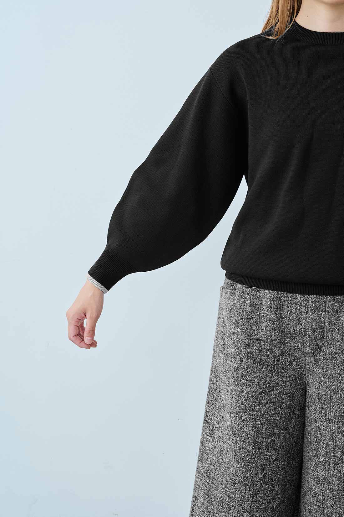 IEDIT|IEDIT[イディット]　コットン混ミラノリブ素材でロングシーズン活躍ふんわり袖ニット