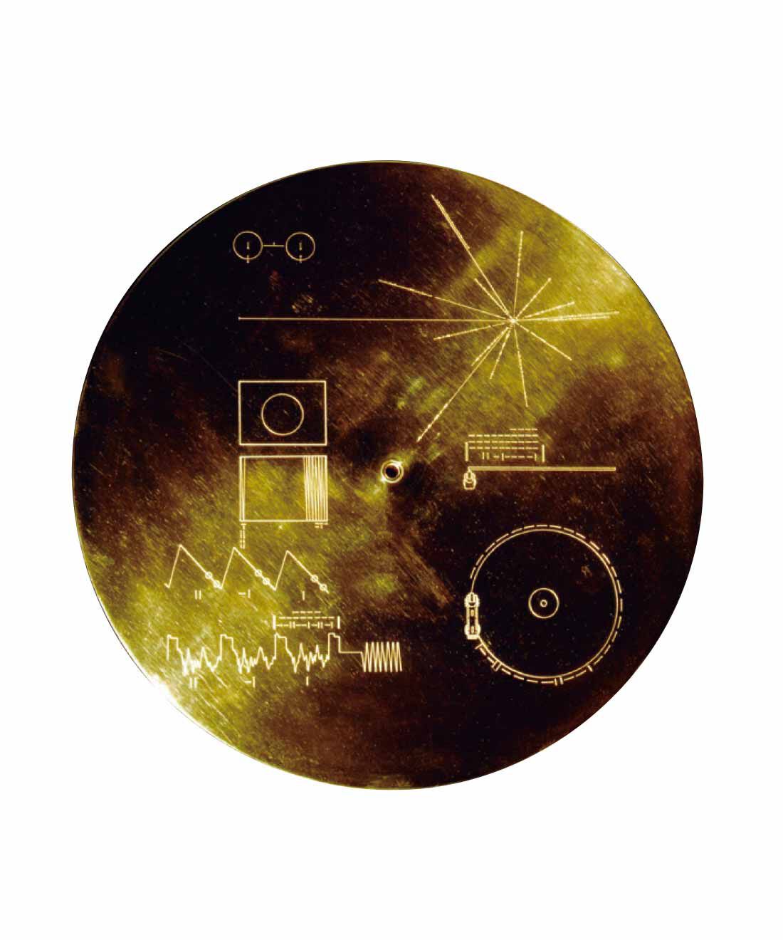 IEDIT|IEDIT[イディット]　NASA ゴールデンレコードプリントのオーガニックコットンTシャツ〈ブラック〉|地球の文化や自然、生命の存在を、画像や音で収めたゴールデンレコード。未知なる知的生命体に向け、1977年のボイジャー計画で宇宙に打ち上げられた。