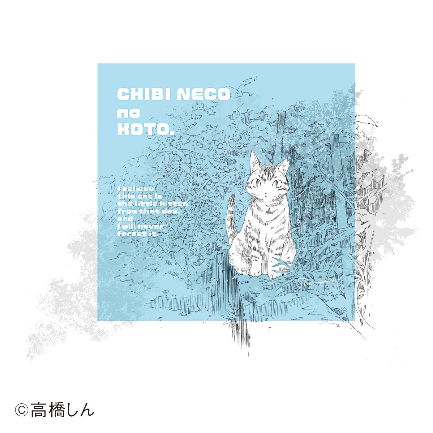 猫部|高橋しん×猫部　地域猫チャリティークリアファイルセット2025