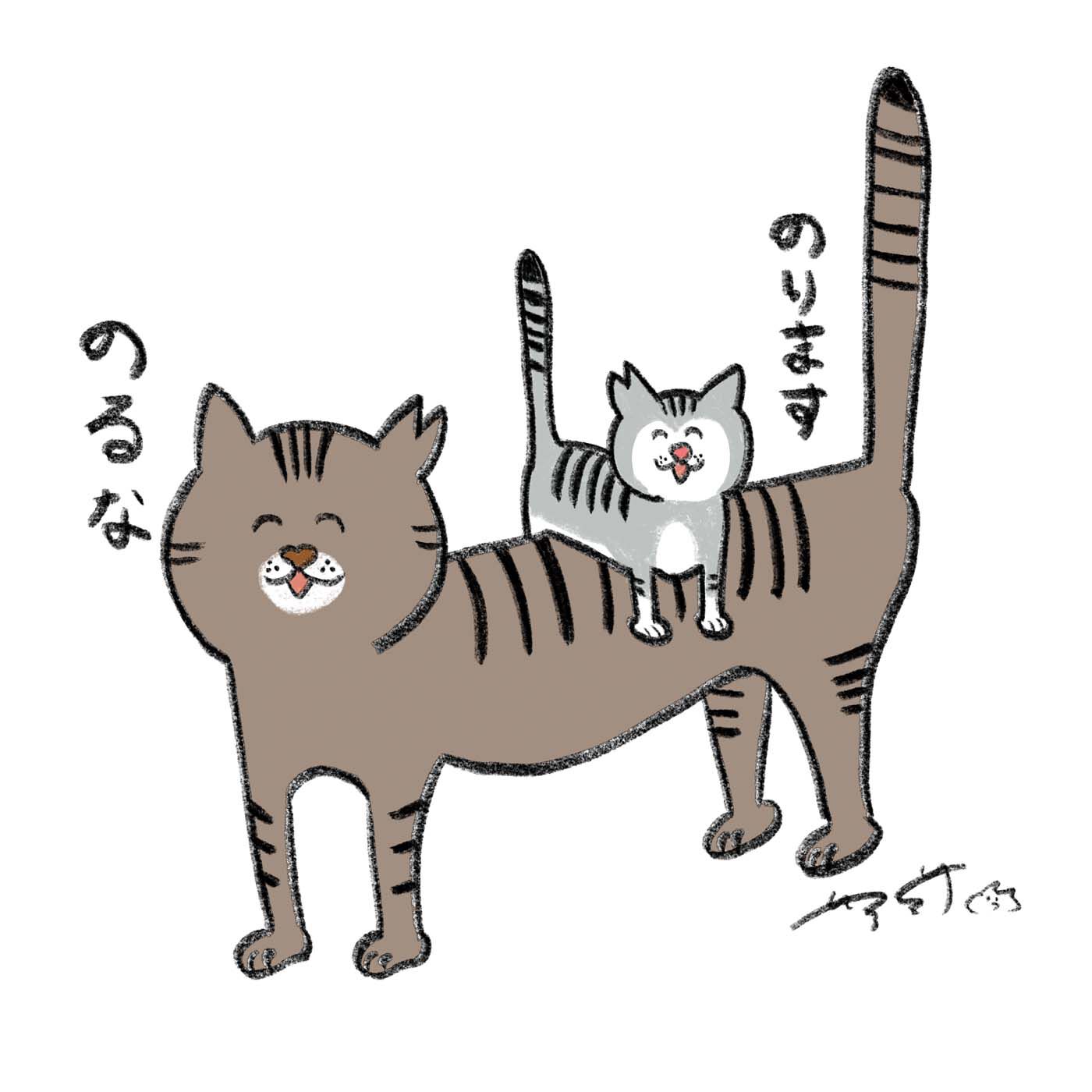 猫部|ロングコートダディ堂前×猫部　地域猫チャリティークリアファイルセット2025