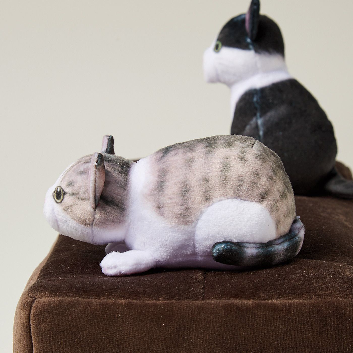 猫部|子猫がかくれんぼする　ボックスティッシュカバー