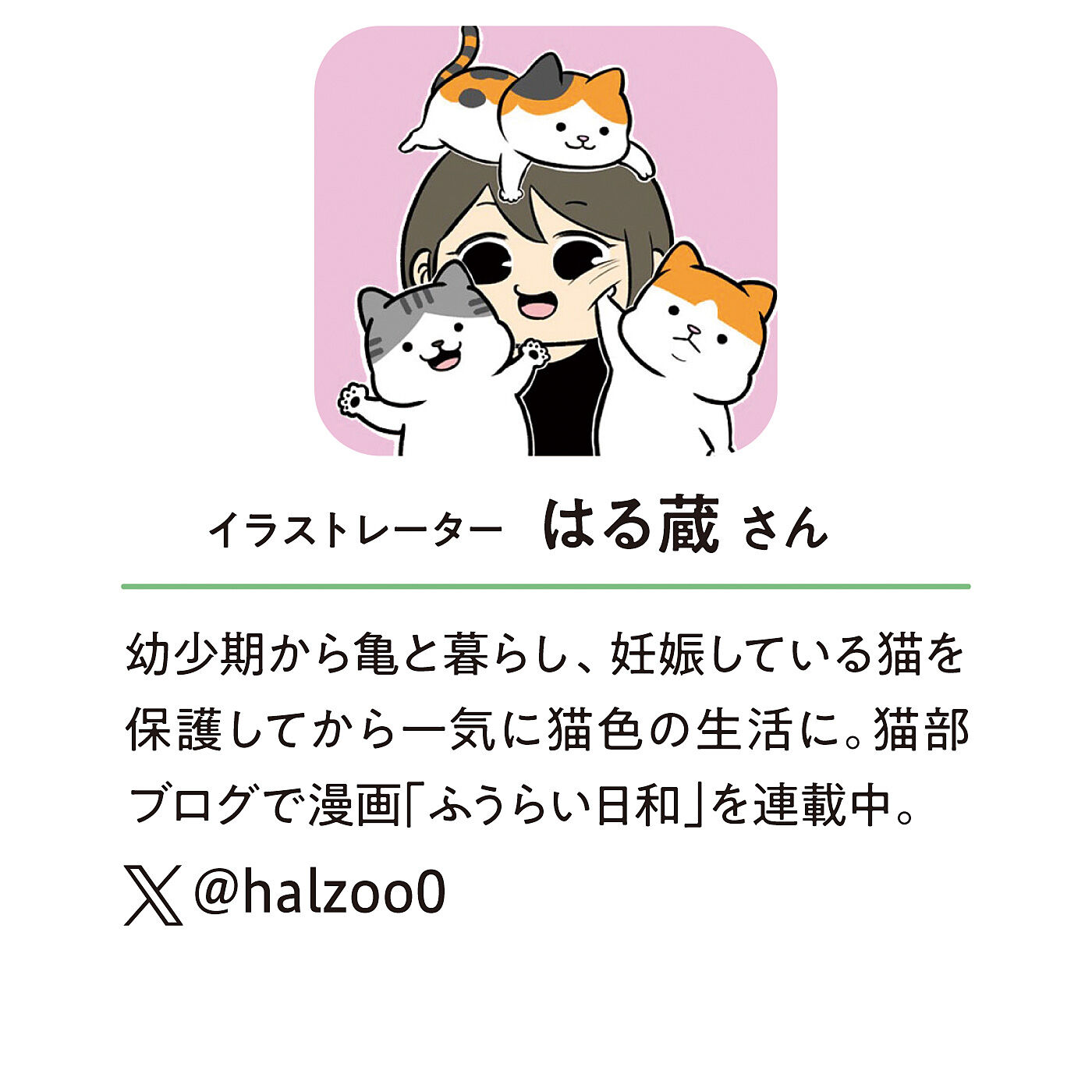猫部|はる蔵さんの描く　もっちり猫さんのジャカード織りハンカチの会