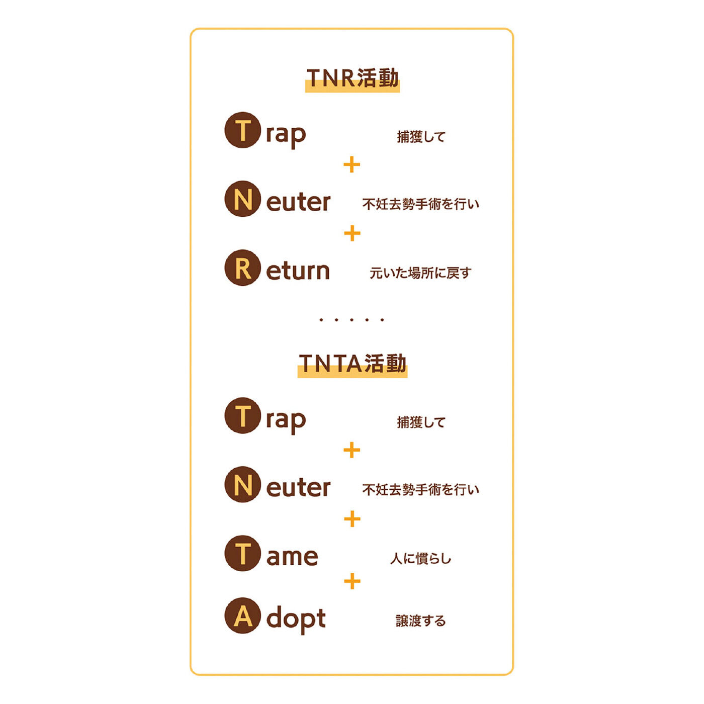 猫部|ハンギョドン×猫部 地域猫チャリティークリアファイル2023|野良猫に不妊去勢手術をほどこし、エサやりの管理や、ふん尿の掃除などを地域で連携して行い、野良猫の数とトラブルを減らしていく取り組みが「地域猫活動」です。その一環として、野良猫を保護して不妊去勢手術をほどこし地域で見守るTNR（Trap：保護、Newter：不妊去勢手術、Return：地域にもどす）活動、さらに終生の里親さんを探すTNTA（後ろ2文字はTame：人に慣らす、Adopt：譲渡）活動も猫部は応援しています。