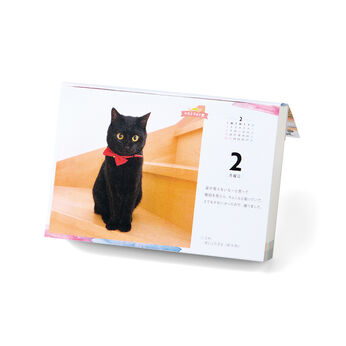 猫部 | 猫愛たっぷりまいにちにゃんこ２０２６