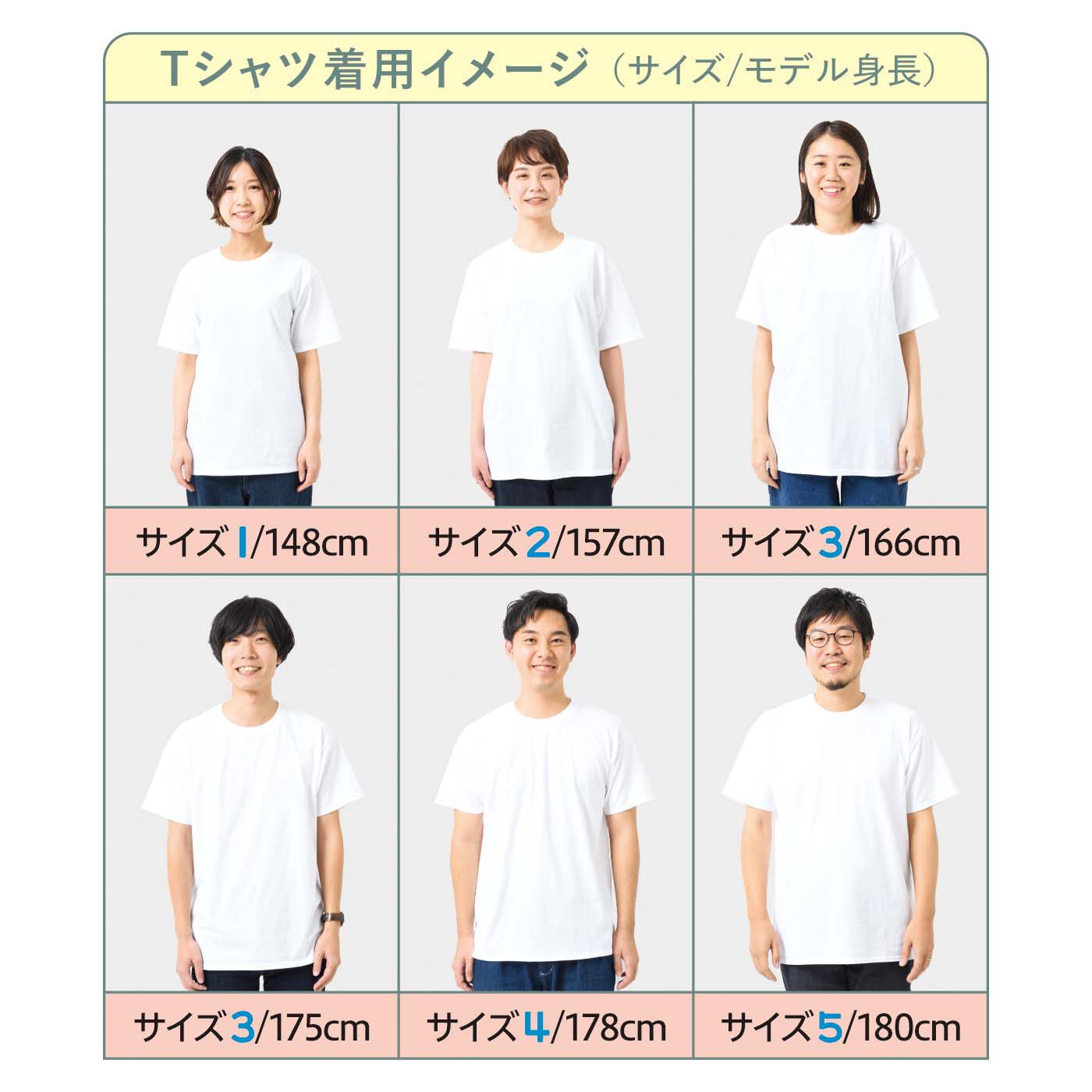 猫部|【6月分以降お届け】Tシャツ2025 3回予約コース（くまみね・坂崎千春・池田あきこ）
