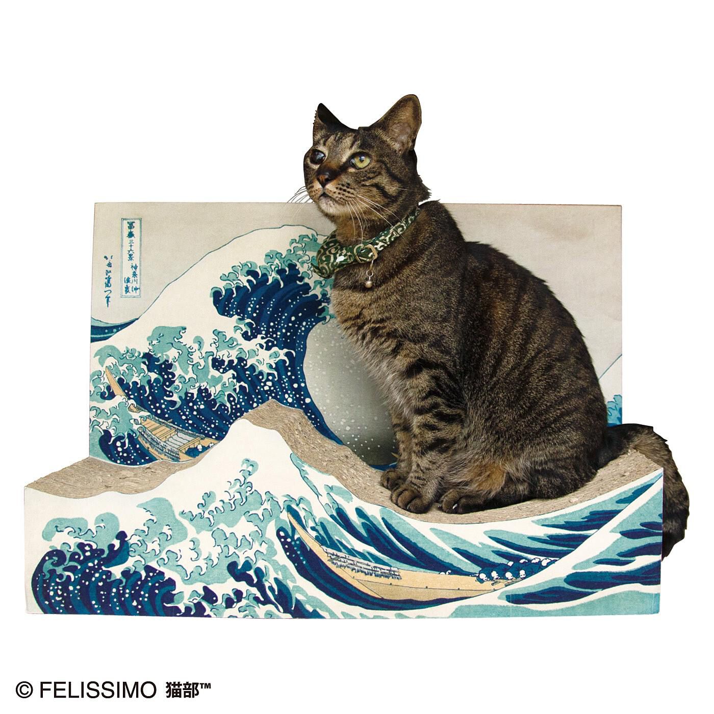 猫部|猫部×ミュージアム部　名画をたしなむ猫のつめとぎ〈葛飾北斎 神奈川沖浪裏〉|モデル猫：たから（オス 5kg）