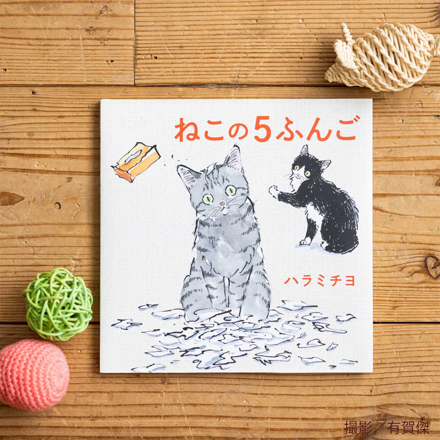 猫部|絵本『ねこの５ふんご』