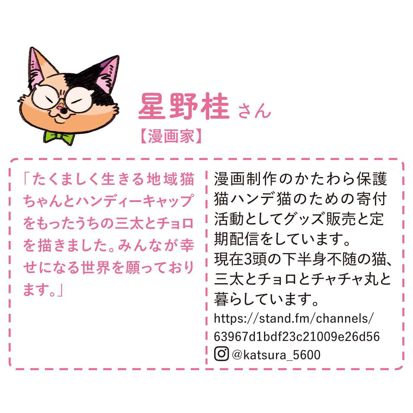 猫部|星野桂×猫部　地域猫チャリティークリアファイルセット2025