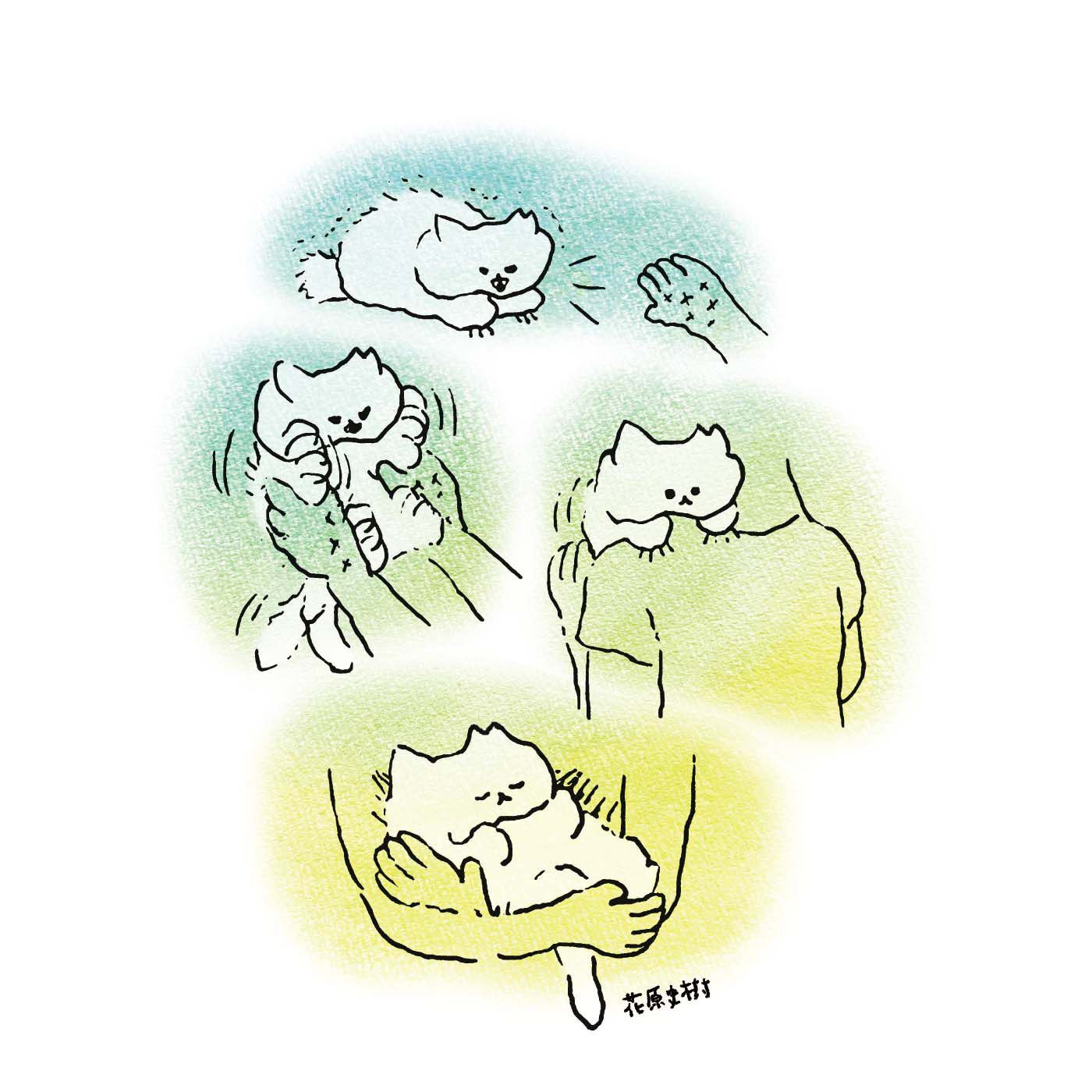 猫部|花原史樹×猫部　地域猫チャリティーTシャツ2025