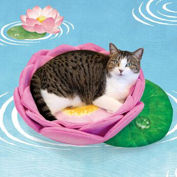 猫部 | 尊い猫様を拝もう 蓮の花にゃんこクッション
