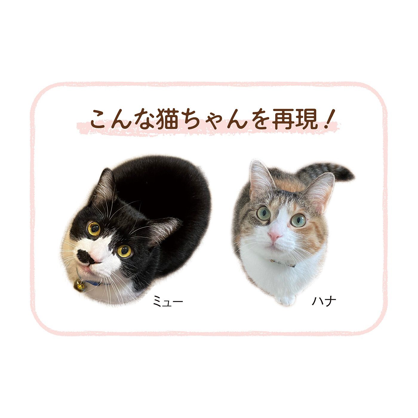 猫部|じっと見つめる猫さんと目が合う　コーデュロイもこもこルームシューズの会