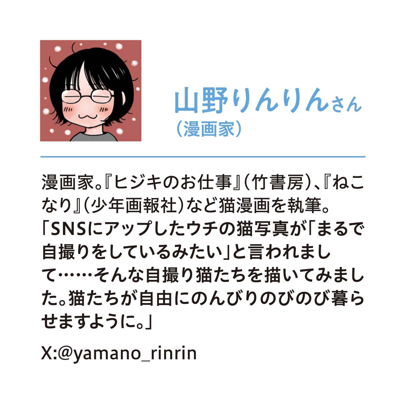猫部|山野りんりん×猫部　地域猫チャリティークリアファイルセット2024