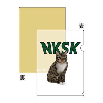 猫部 | 宮田聡子地域猫ファイル２０２４