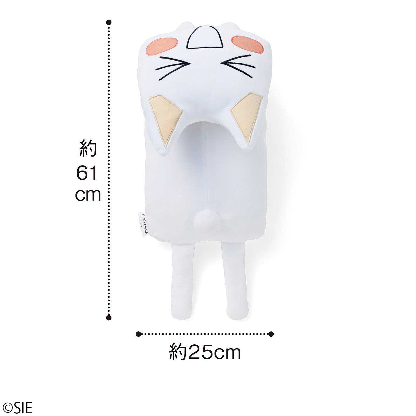 猫部|どこでもいっしょ×猫部　トロたちのもちもちクッションの会