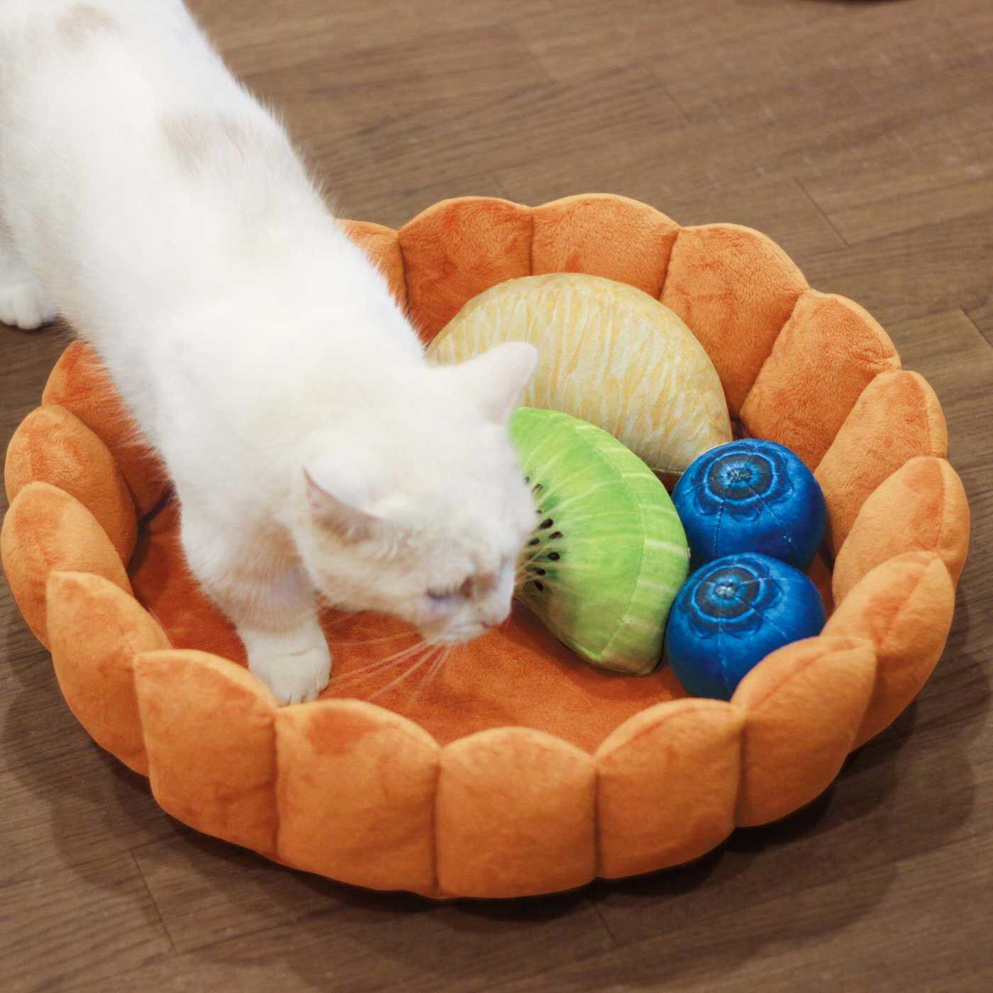 猫部|フルーツタルトの具になってスヤァ　スイーツにゃんこクッション|フルーツ形クッションは縫い付けてあるのでずれません。