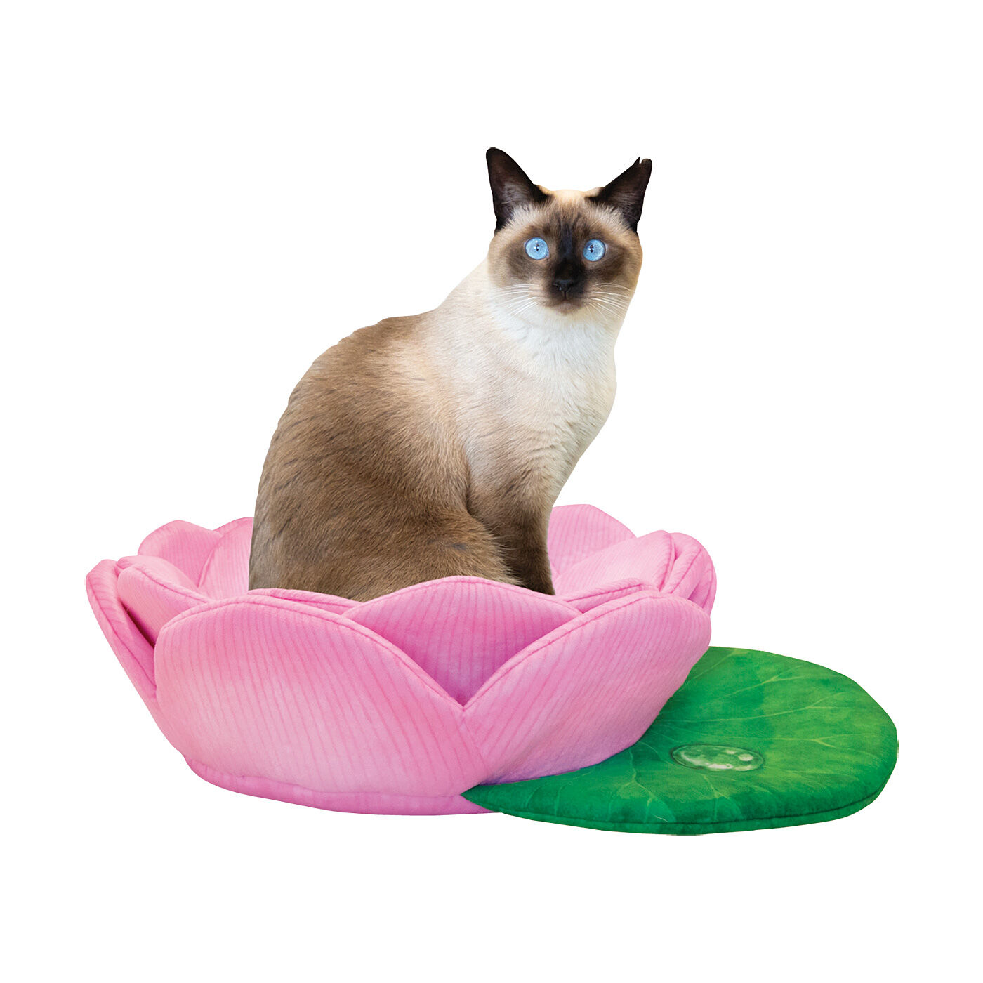 猫部|おてらぶコラボ　尊い猫さまを拝もう　蓮の花にゃんこクッション|まるで仏像のような佇（たたず）まい。
