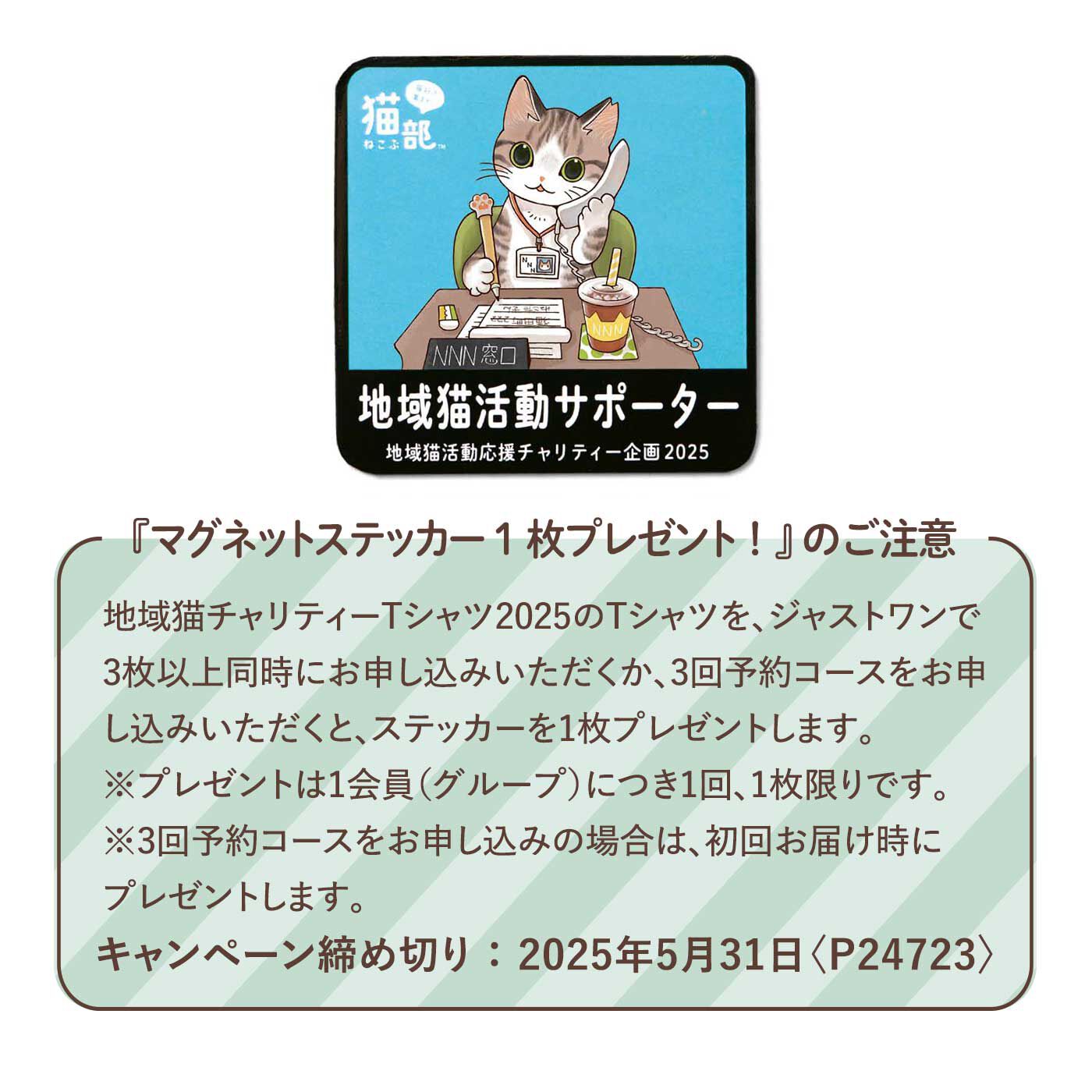 猫部|【6月分以降お届け】Tシャツ2025 3回予約コース（くまみね・坂崎千春・池田あきこ）