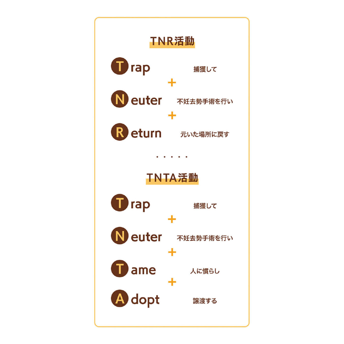 猫部|夏目友人帳×猫部　地域猫チャリティーTシャツ2022