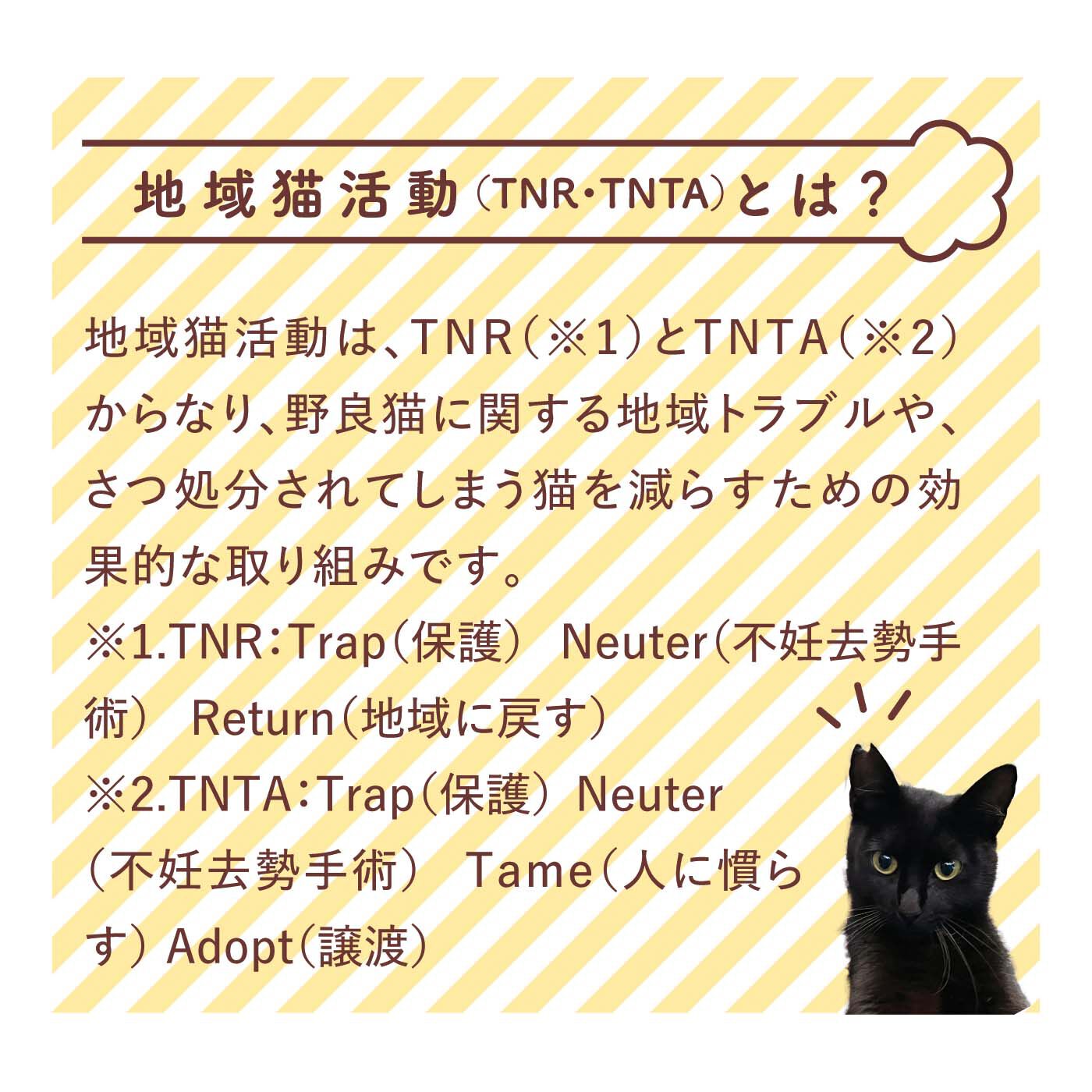 猫部|TVアニメ『ラーメン赤猫』×猫部　地域猫チャリティークリアファイルセット2025