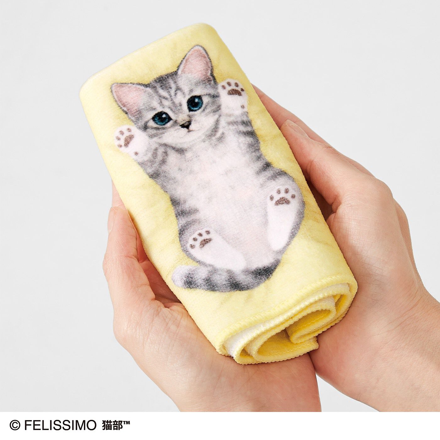 猫部|子猫がへそ天でごろ～ん　タオルハンカチの会