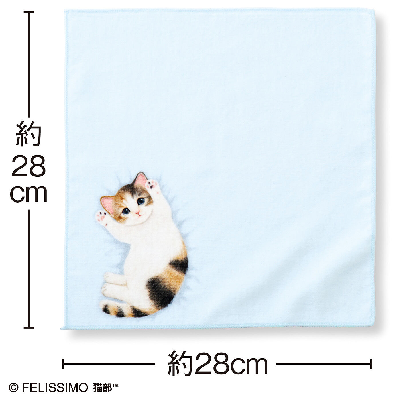 猫部|子猫がへそ天でごろ～ん　タオルハンカチの会