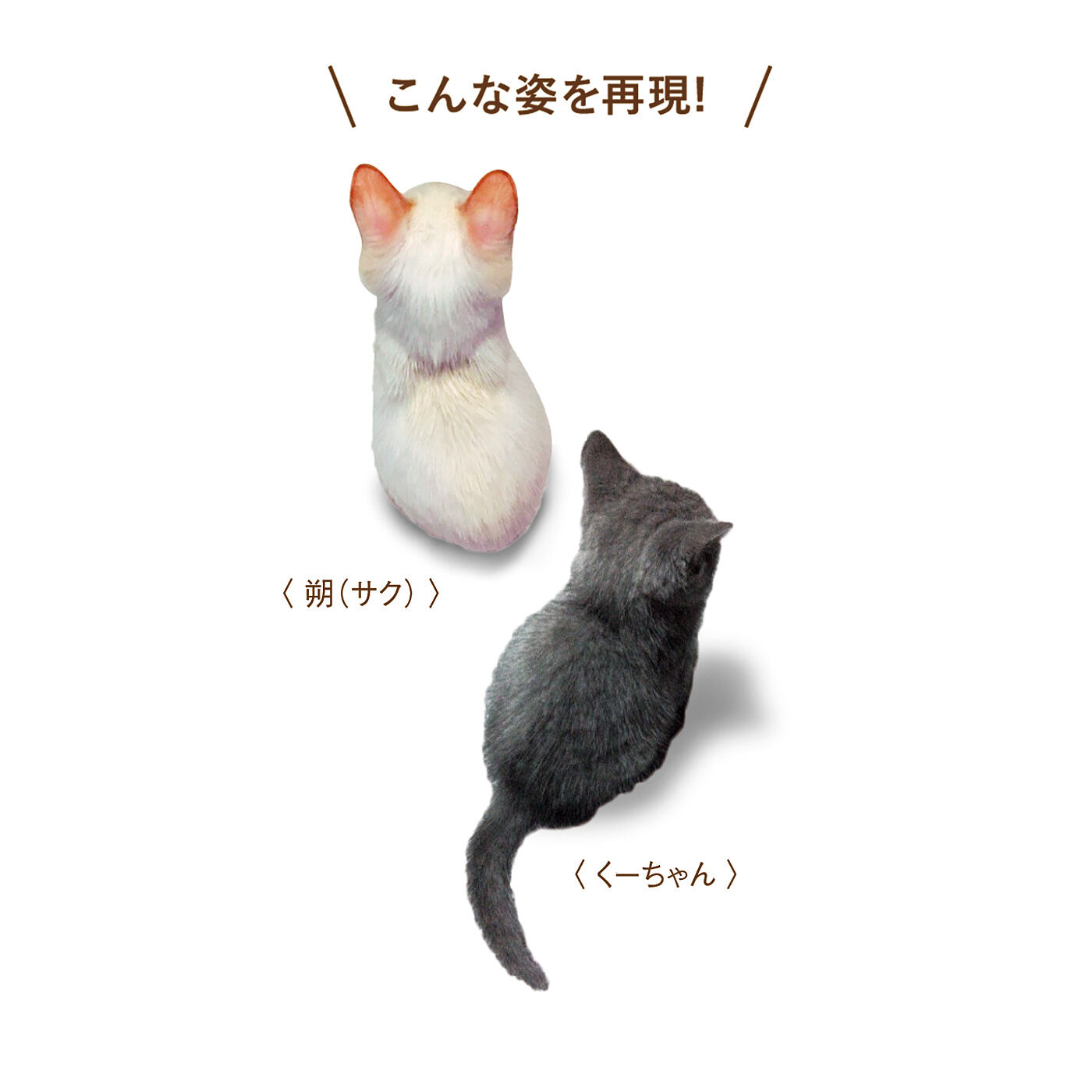 猫部|子猫が首もとにちょこん　もふもふあったかマフラーの会