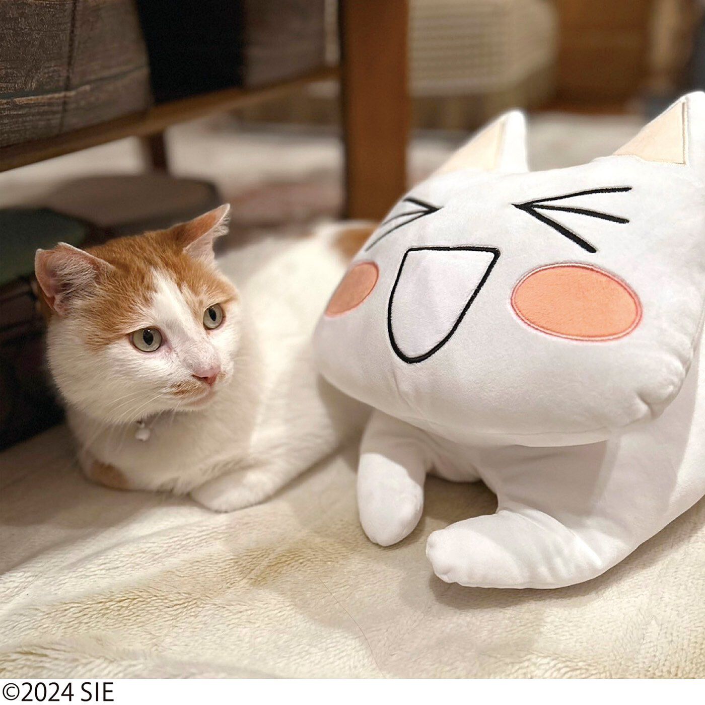猫部|どこでもいっしょ×猫部　トロたちのもちもちクッションの会|ご自宅の猫さんの相棒にも◎