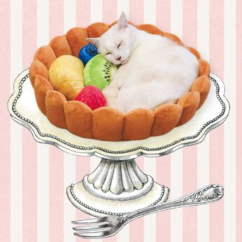 猫部 | フルーツタルト にゃんこクッション